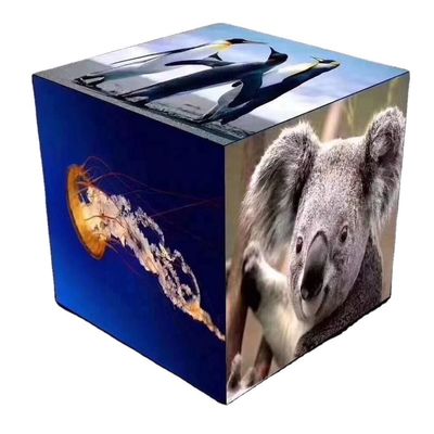 Pantalla creativa impermeable de alquiler P4.81 colorido de la pantalla LED