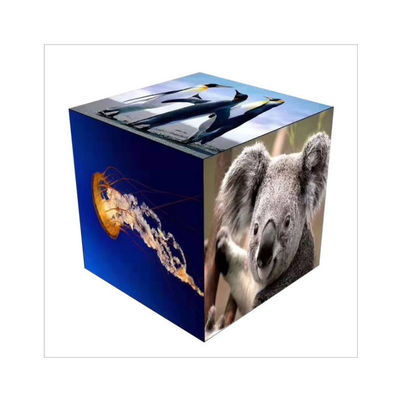 Pantalla 1RGB P4.81 P3.91 P2.064 P1.875 de la pantalla LED de EDA Colorful Creative