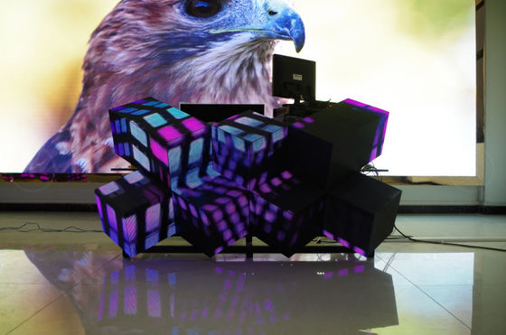 La prenda impermeable creativa de P4.81 P3.91 llevó el alquiler de la exhibición luminescente